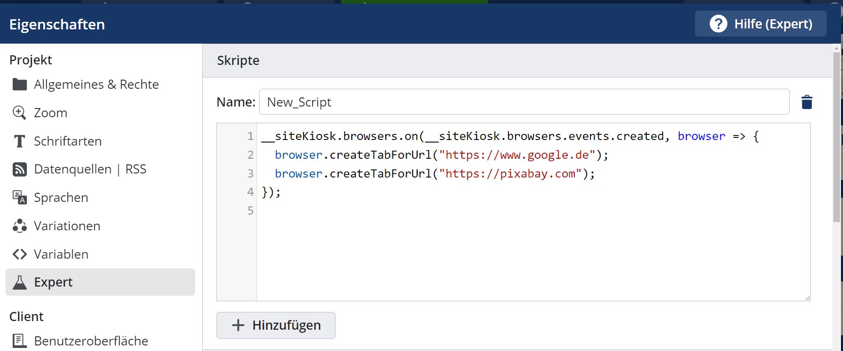 Einfügen des Skripts